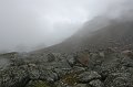 IMG_17766