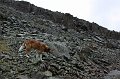 IMG_17871