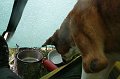 IMG_17900