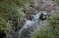 IMG_17911