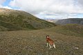 IMG_17921