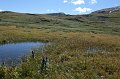 IMG_18062
