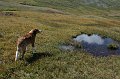 IMG_18063