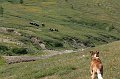 IMG_18111