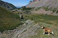 IMG_18114