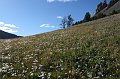 IMG_18181