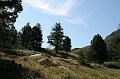 IMG_18242