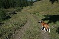IMG_18266
