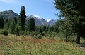 IMG_18268