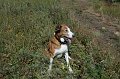 IMG_18302