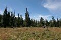 IMG_18304