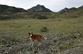 IMG_18349