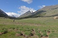 IMG_19623