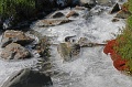 IMG_19698