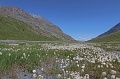 IMG_19739