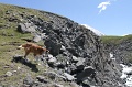 IMG_19748