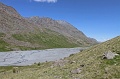 IMG_19752