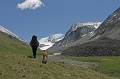 IMG_19769