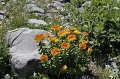 IMG_19773