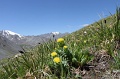 IMG_19878
