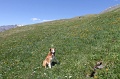 IMG_19887