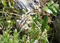IMG_19902x