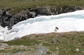 IMG_20022