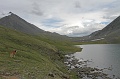 IMG_20085