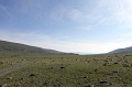 IMG_20220