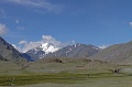 IMG_20238