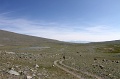 IMG_20239