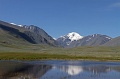 IMG_20246