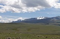 IMG_20250