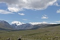 IMG_20254