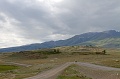 IMG_20256