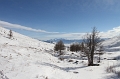 IMG_24582