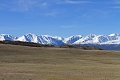 IMG_25065