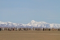 IMG_25073