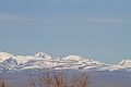 IMG_25090