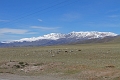 IMG_25243