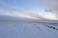 IMG_28825s