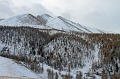IMG_28842s