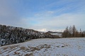 IMG_28844s