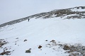 IMG_28887s