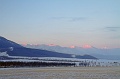 IMG_28899s