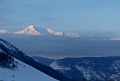 IMG_28920x