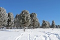 IMG_28928s