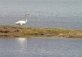 IMG_28996x