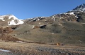 IMG_29074