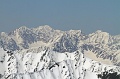 IMG_29239